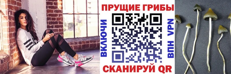 blacksprut Николаевск-на-Амуре Галлюциногенные грибы MAGIC MUSHROOMS наркотики